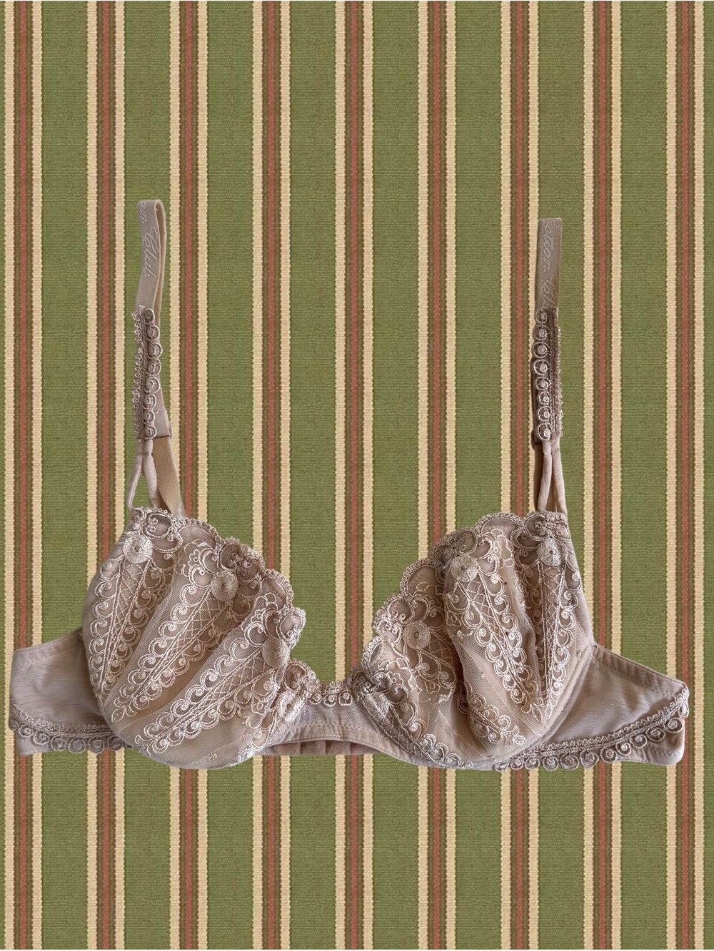 Embroidered Lace Underwire Bra in Nude Beige
